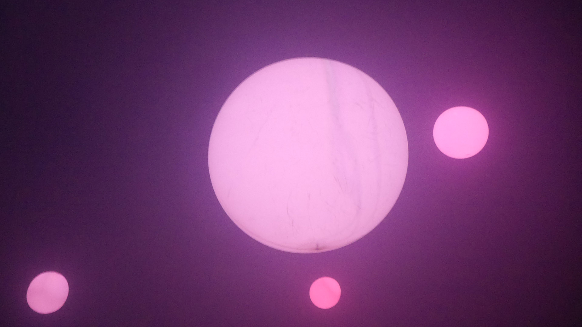 5 Reasons Why Culture Night Breda 2017 Is One Of The Best Exhibition Experiences Around cover photo