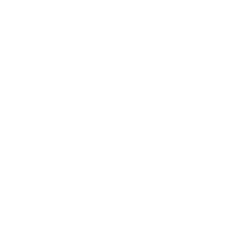 North Collective Logo